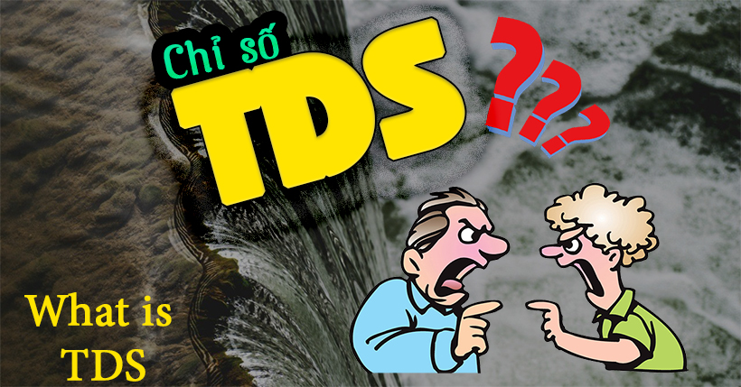 Chỉ số TDS là gì?